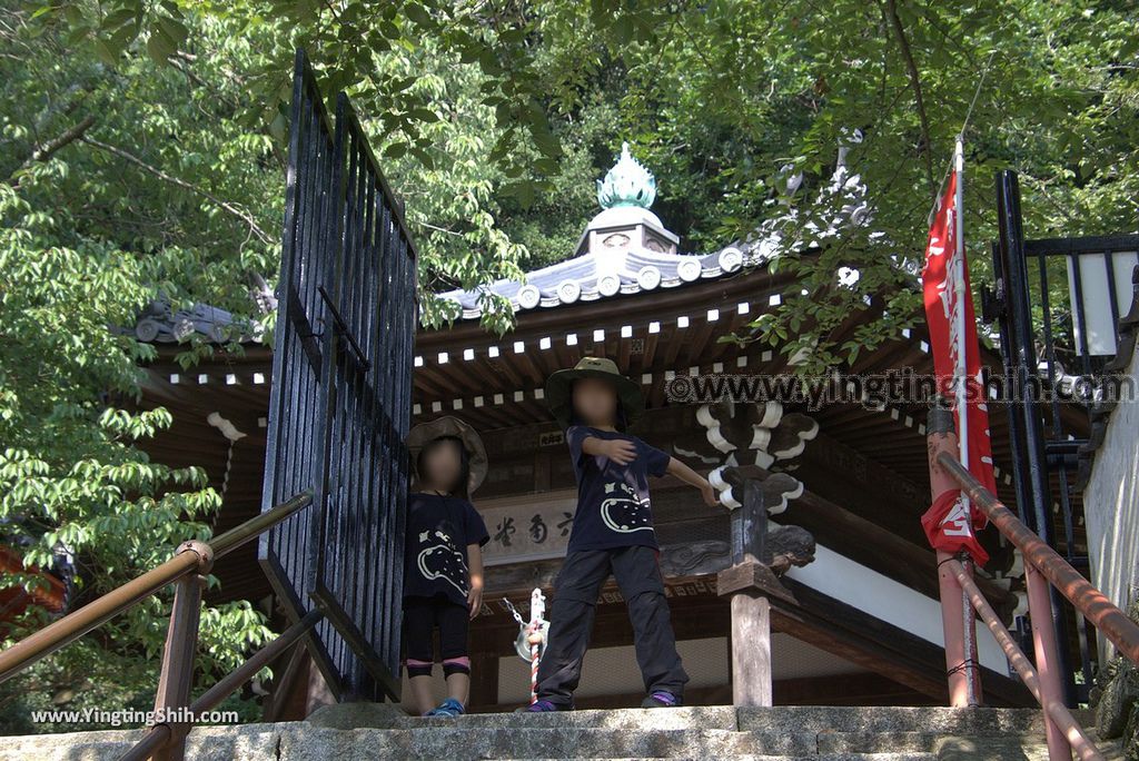 YTS_YTS_20180718_Japan Wakayama Kimiidera日本和歌山紀三井寺／日本最大木造立像／大千手十一面觀音074_3A5A7713.jpg