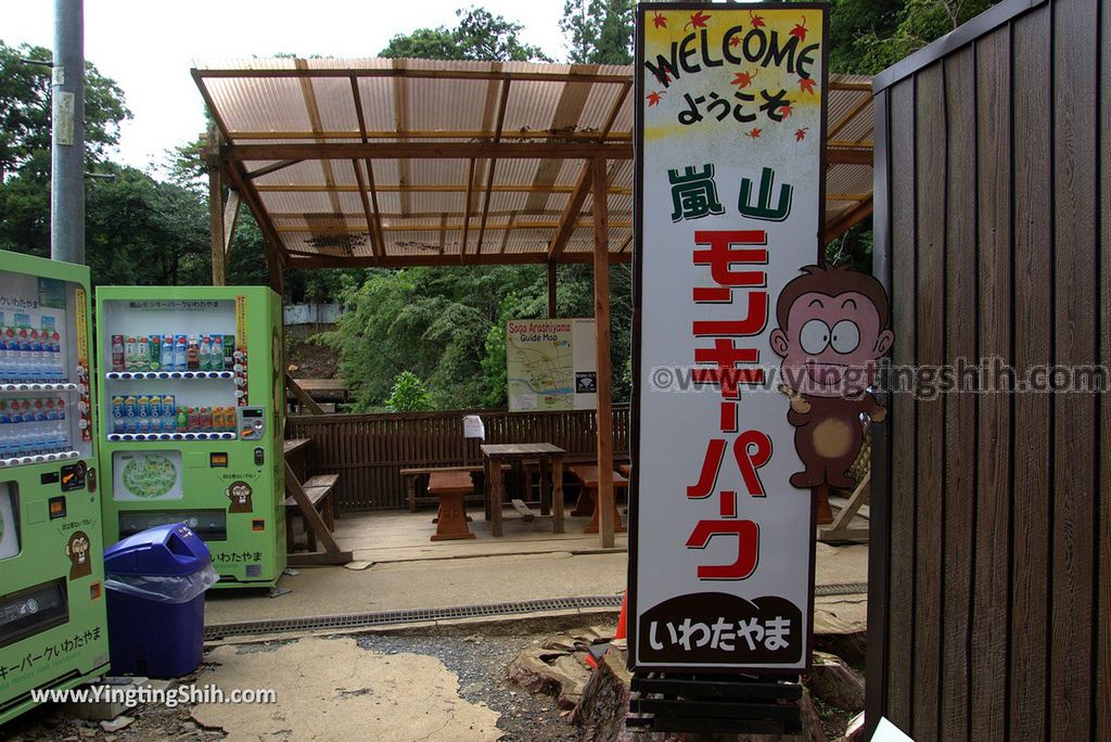 YTS_YTS_20180712_Japan Kyoto Arashiyama Monkey Park Iwatayama 日本京都嵐山猴子公園022_3A5A9622.jpg