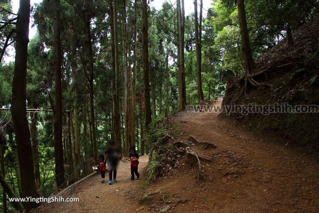 YTS_YTS_20180712_Japan Kyoto Arashiyama Monkey Park Iwatayama 日本京都嵐山猴子公園039_3A5A9829.jpg