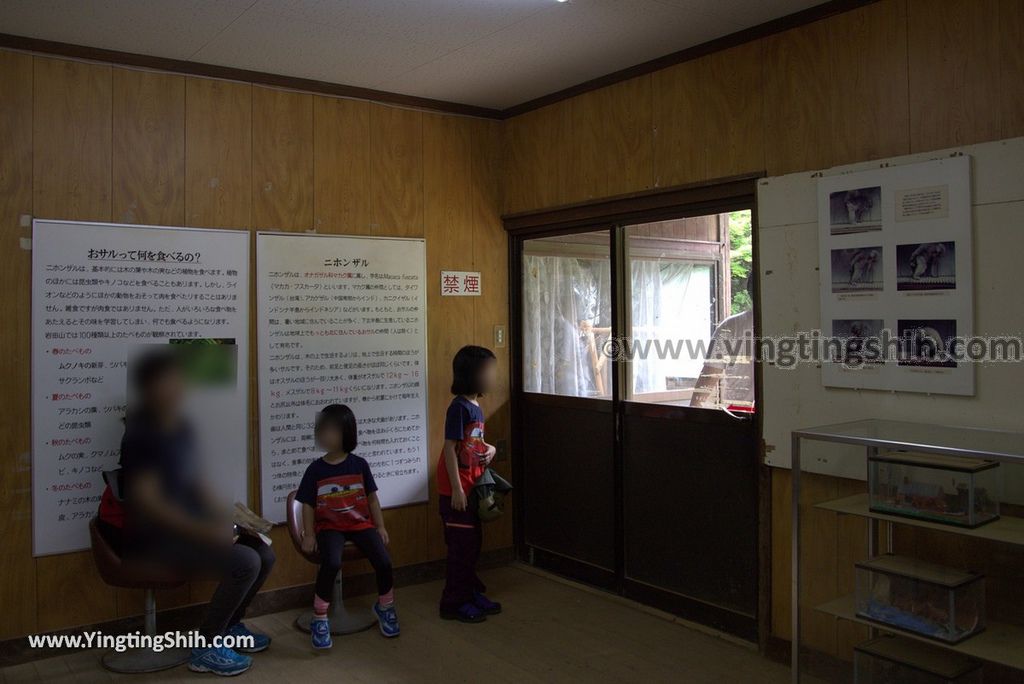 YTS_YTS_20180712_Japan Kyoto Arashiyama Monkey Park Iwatayama 日本京都嵐山猴子公園047_3A5A9921.jpg