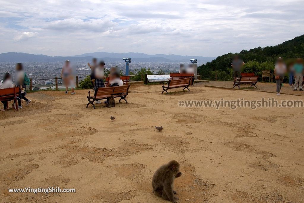 YTS_YTS_20180712_Japan Kyoto Arashiyama Monkey Park Iwatayama 日本京都嵐山猴子公園063_3A5A0132.jpg