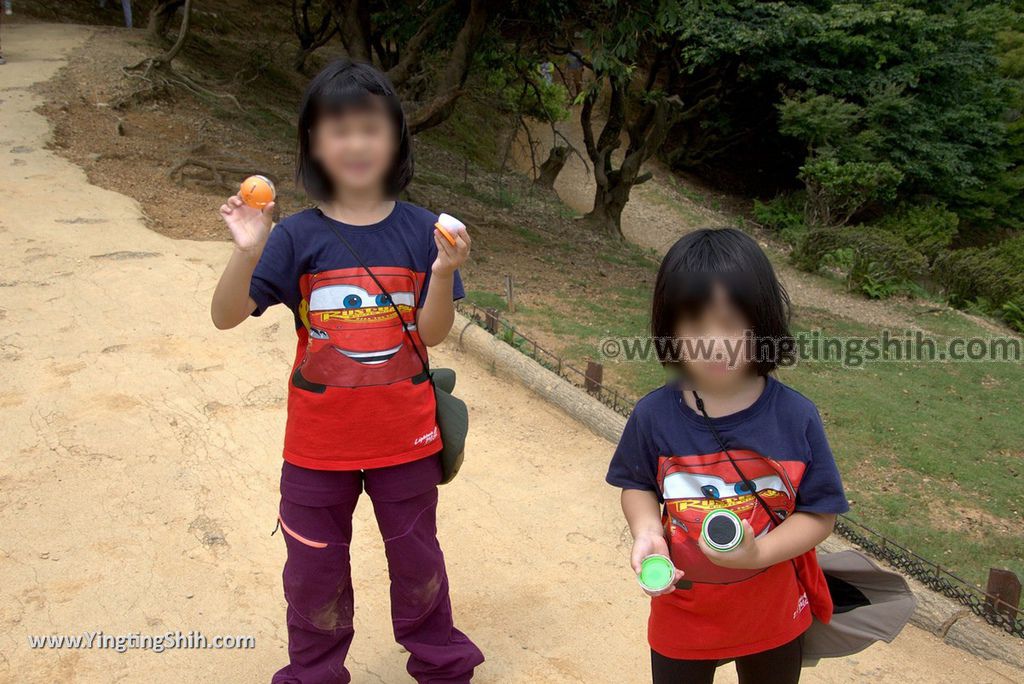 YTS_YTS_20180712_Japan Kyoto Arashiyama Monkey Park Iwatayama 日本京都嵐山猴子公園072_3A5A1033.jpg