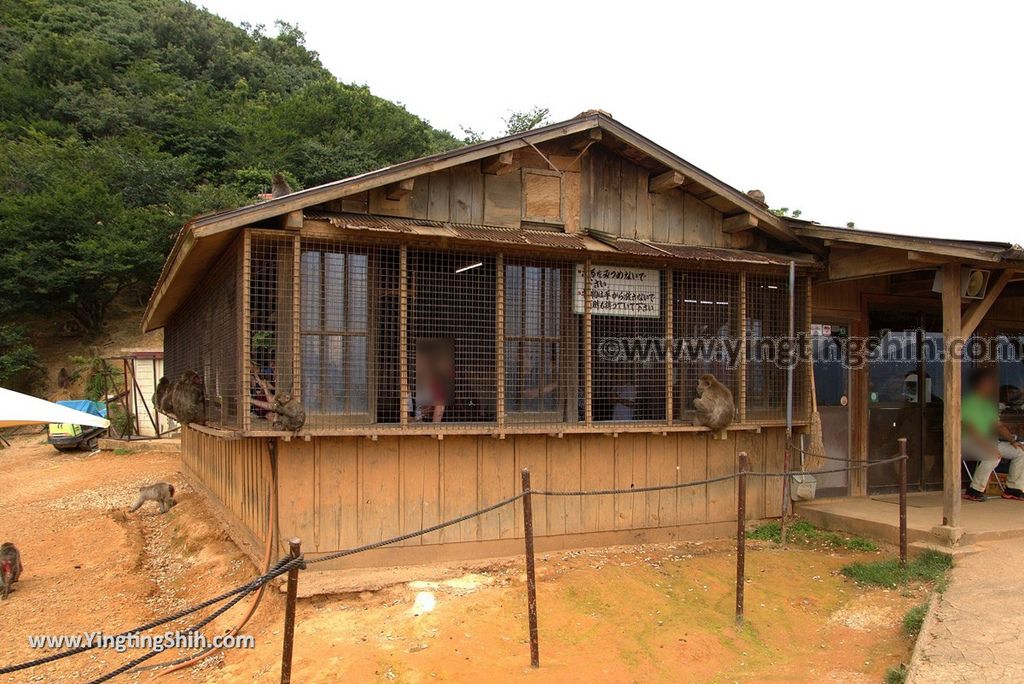 YTS_YTS_20180712_Japan Kyoto Arashiyama Monkey Park Iwatayama 日本京都嵐山猴子公園086_3A5A0775.jpg