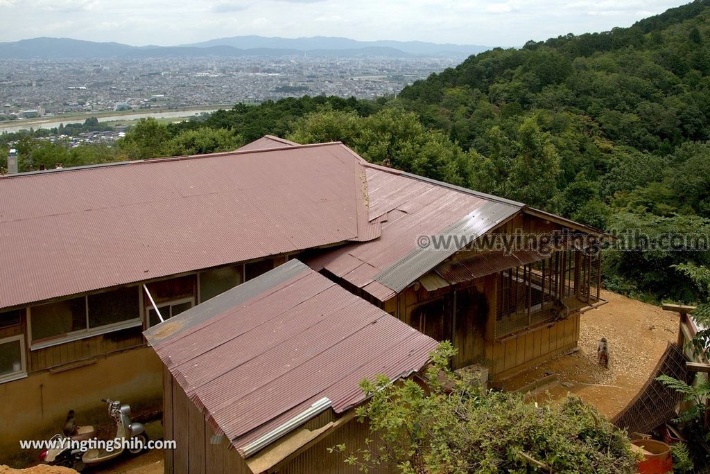 YTS_YTS_20180712_Japan Kyoto Arashiyama Monkey Park Iwatayama 日本京都嵐山猴子公園111_3A5A1079.jpg