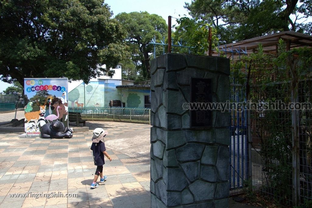 YTS_YTS_20180718_Japan Wakayama Park Zoo日本和歌山公園動物園（水禽園 ）／和歌山城童話園011_3A5A6484.jpg