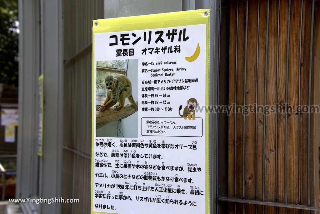 YTS_YTS_20180718_Japan Wakayama Park Zoo日本和歌山公園動物園（水禽園 ）／和歌山城童話園017_3A5A6514.jpg