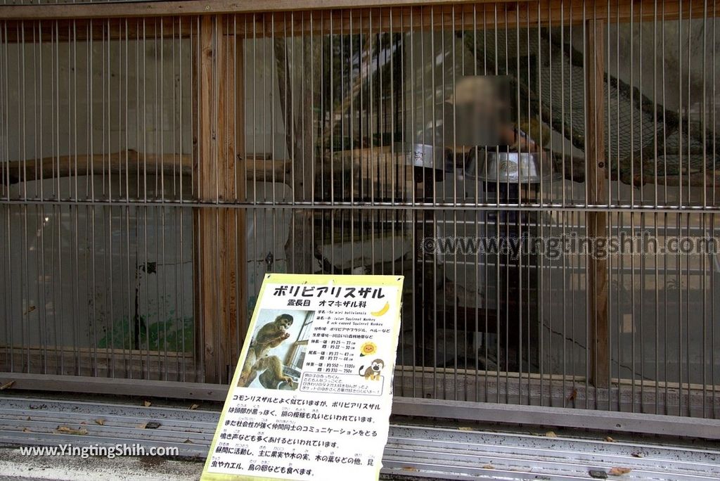 YTS_YTS_20180718_Japan Wakayama Park Zoo日本和歌山公園動物園（水禽園 ）／和歌山城童話園020_3A5A6536.jpg