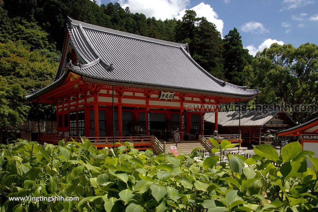 YTS_YTS_20180721_Japan Osaka Katsuo-ji日本大阪勝尾寺／勝王寺／勝利達摩不倒翁／祈求勝運078_3A5A0053.jpg