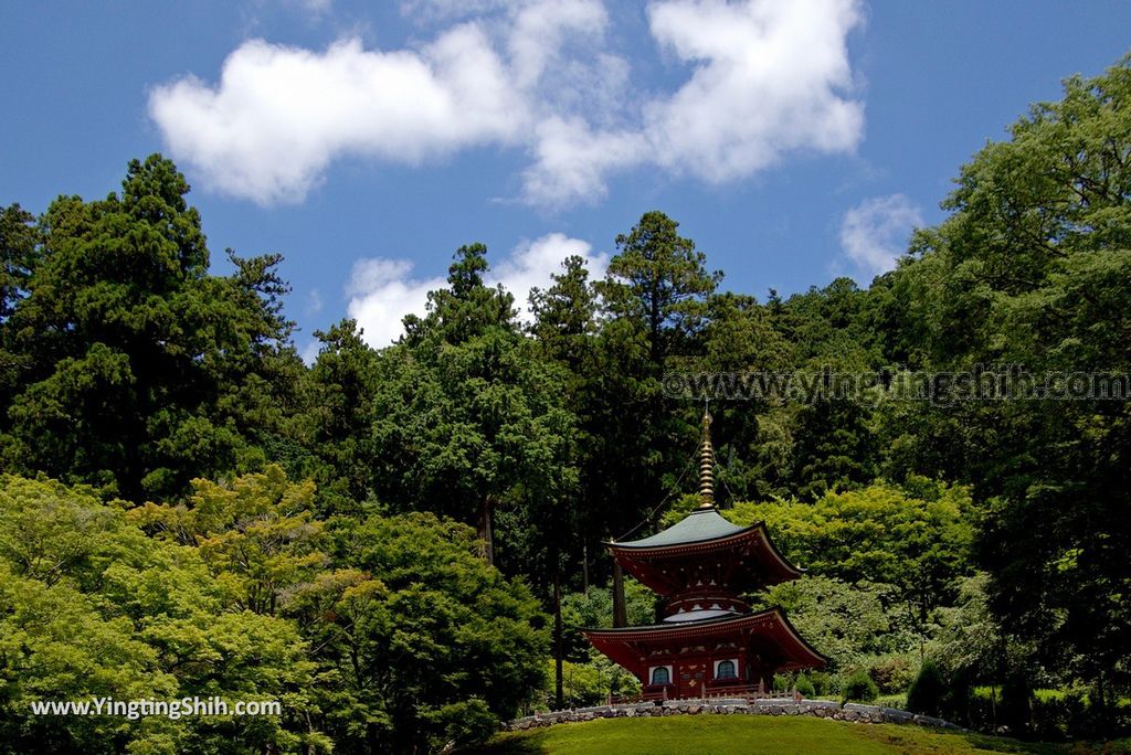 YTS_YTS_20180721_Japan Osaka Katsuo-ji日本大阪勝尾寺／勝王寺／勝利達摩不倒翁／祈求勝運165_3A5A1442.jpg