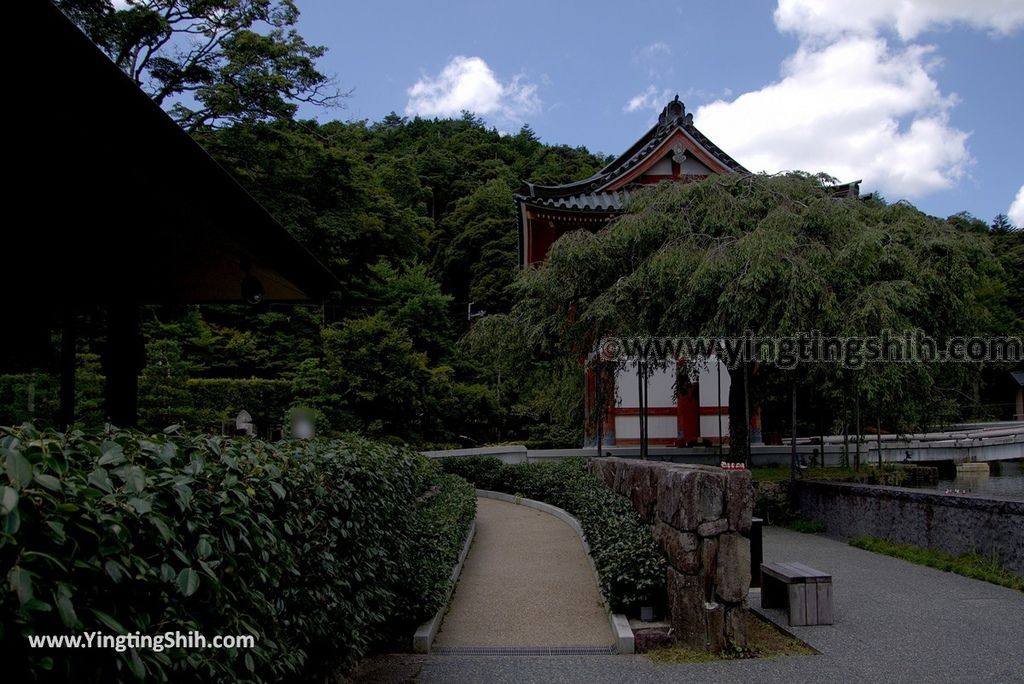 YTS_YTS_20180721_Japan Osaka Katsuo-ji日本大阪勝尾寺／勝王寺／勝利達摩不倒翁／祈求勝運193_3A5A2097.jpg