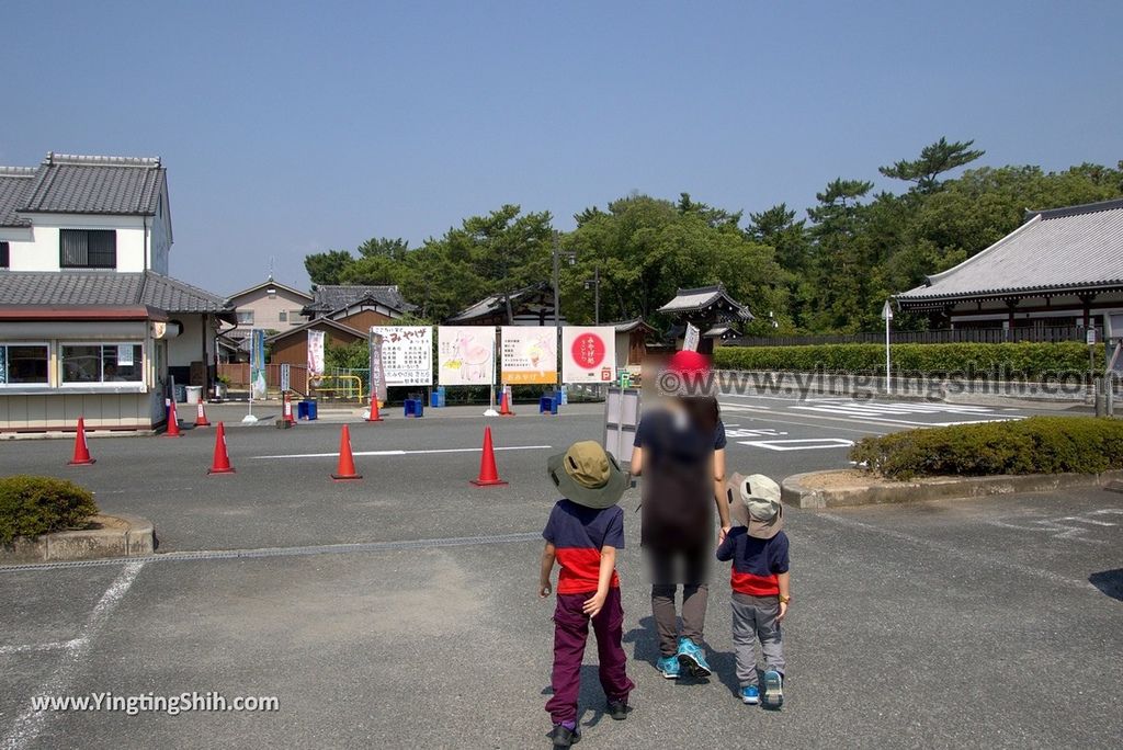 YTS_YTS_20180716_Japan Nara Toshodai-ji日本奈良唐招提寺／世界文化遺產／律宗總本山003_3A5A1827.jpg