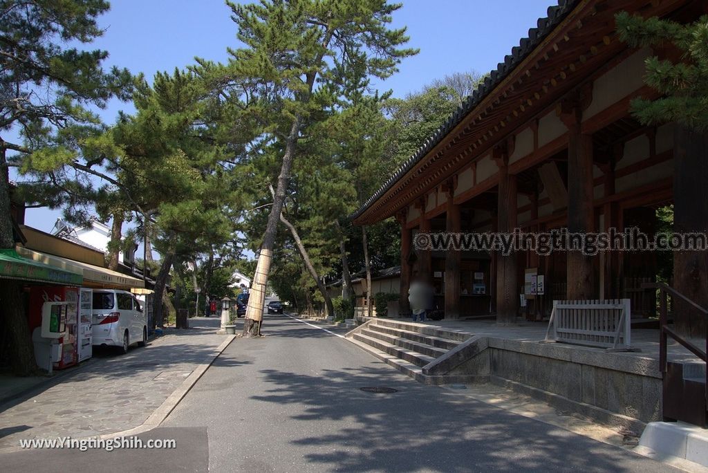 YTS_YTS_20180716_Japan Nara Toshodai-ji日本奈良唐招提寺／世界文化遺產／律宗總本山006_3A5A1845.jpg