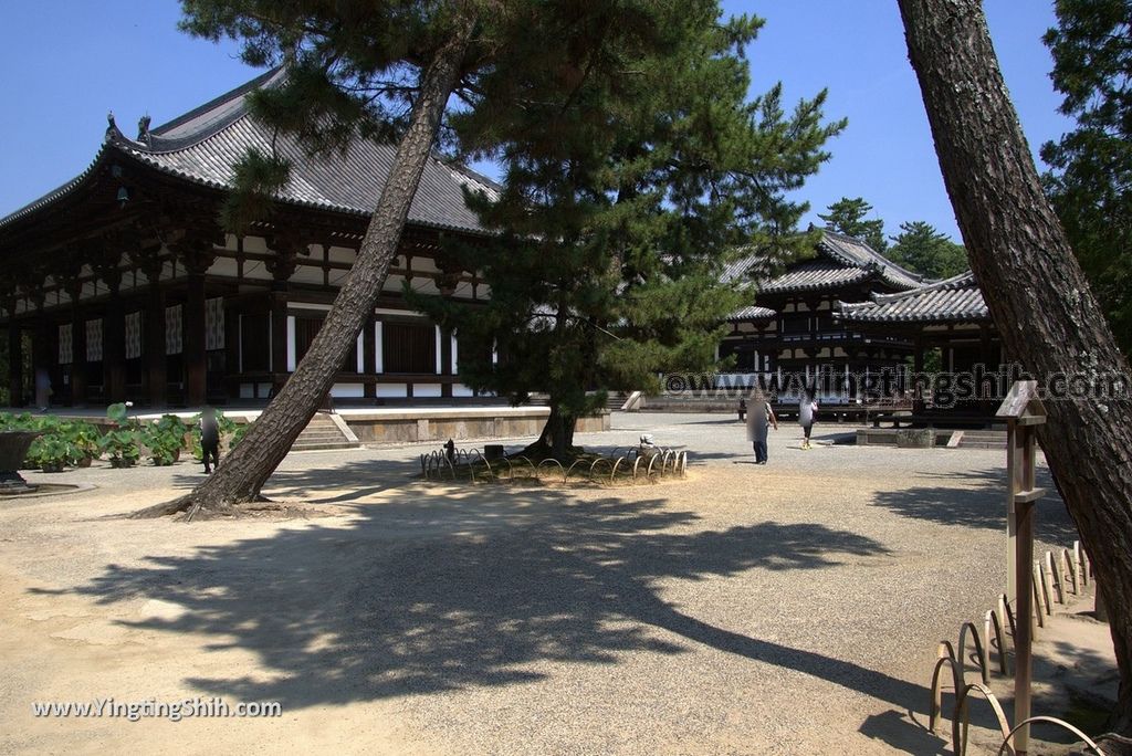 YTS_YTS_20180716_Japan Nara Toshodai-ji日本奈良唐招提寺／世界文化遺產／律宗總本山048_3A5A2108.jpg