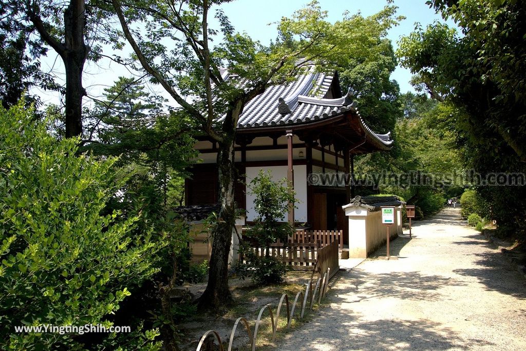 YTS_YTS_20180716_Japan Nara Toshodai-ji日本奈良唐招提寺／世界文化遺產／律宗總本山107_3A5A2433.jpg