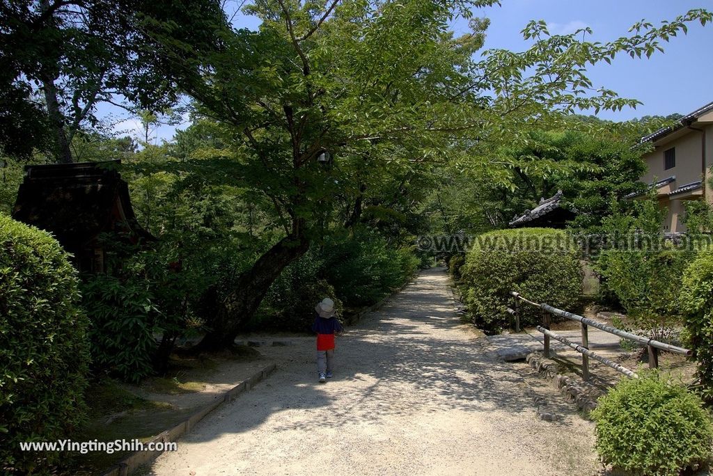 YTS_YTS_20180716_Japan Nara Toshodai-ji日本奈良唐招提寺／世界文化遺產／律宗總本山119_3A5A2489.jpg