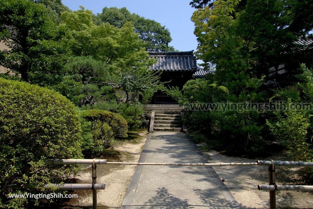 YTS_YTS_20180716_Japan Nara Toshodai-ji日本奈良唐招提寺／世界文化遺產／律宗總本山122_3A5A2497.jpg