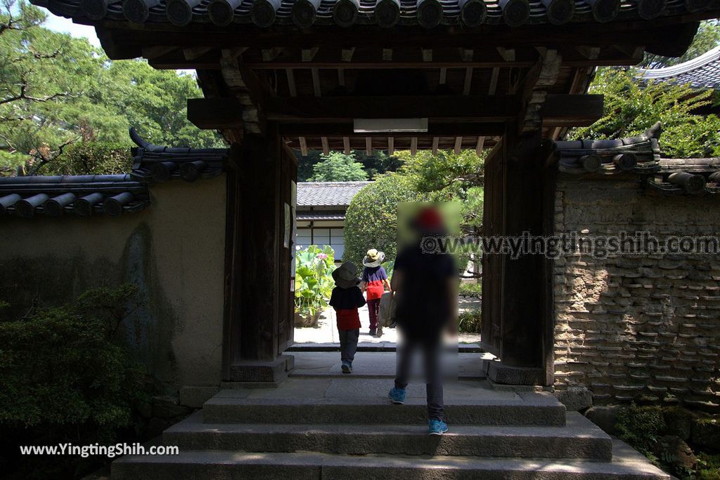 YTS_YTS_20180716_Japan Nara Toshodai-ji日本奈良唐招提寺／世界文化遺產／律宗總本山128_3A5A2525.jpg