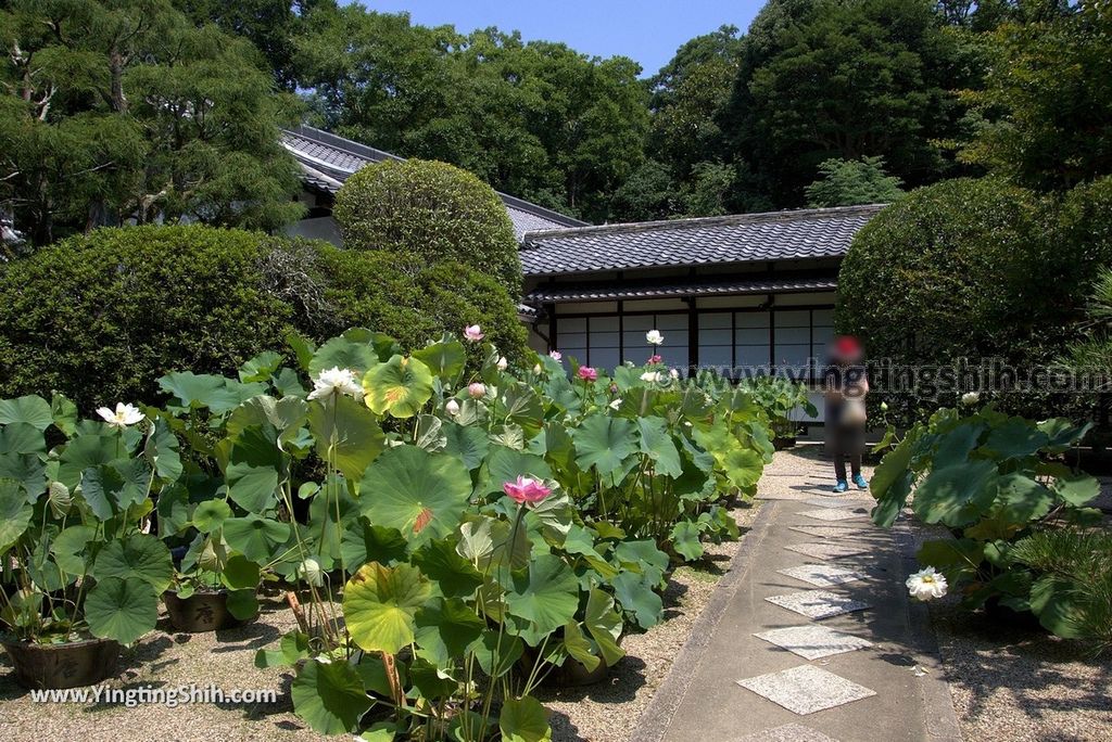 YTS_YTS_20180716_Japan Nara Toshodai-ji日本奈良唐招提寺／世界文化遺產／律宗總本山136_3A5A2546.jpg