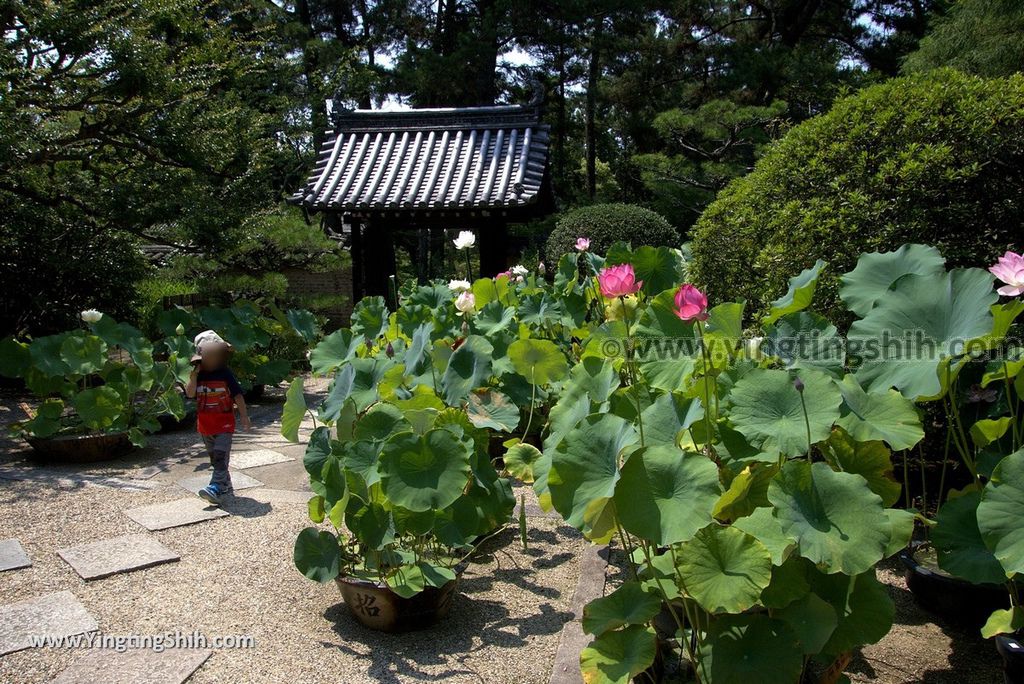 YTS_YTS_20180716_Japan Nara Toshodai-ji日本奈良唐招提寺／世界文化遺產／律宗總本山139_3A5A2563.jpg