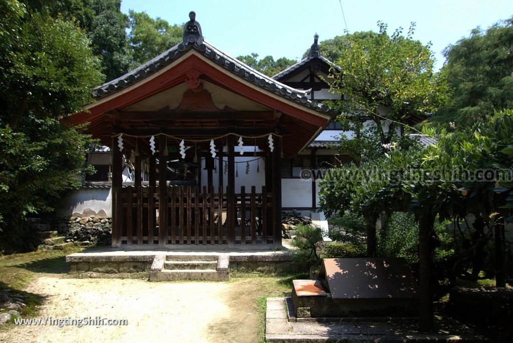 YTS_YTS_20180716_Japan Nara Toshodai-ji日本奈良唐招提寺／世界文化遺產／律宗總本山143_3A5A2591.jpg