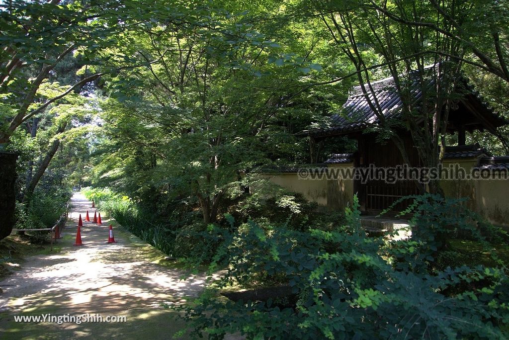 YTS_YTS_20180716_Japan Nara Toshodai-ji日本奈良唐招提寺／世界文化遺產／律宗總本山146_3A5A2599.jpg