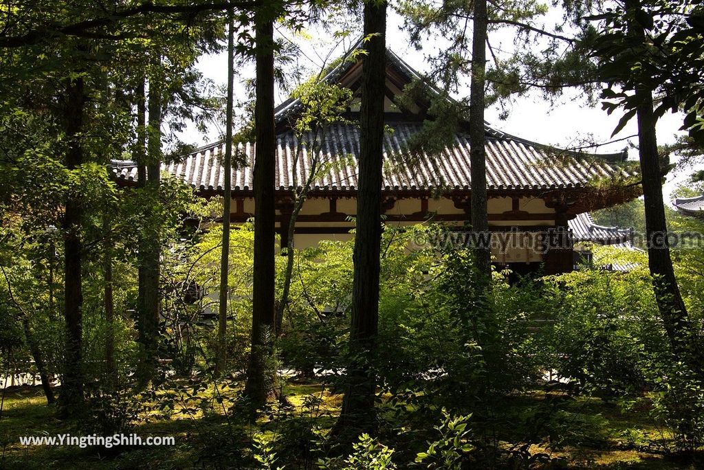 YTS_YTS_20180716_Japan Nara Toshodai-ji日本奈良唐招提寺／世界文化遺產／律宗總本山150_3A5A2625.jpg