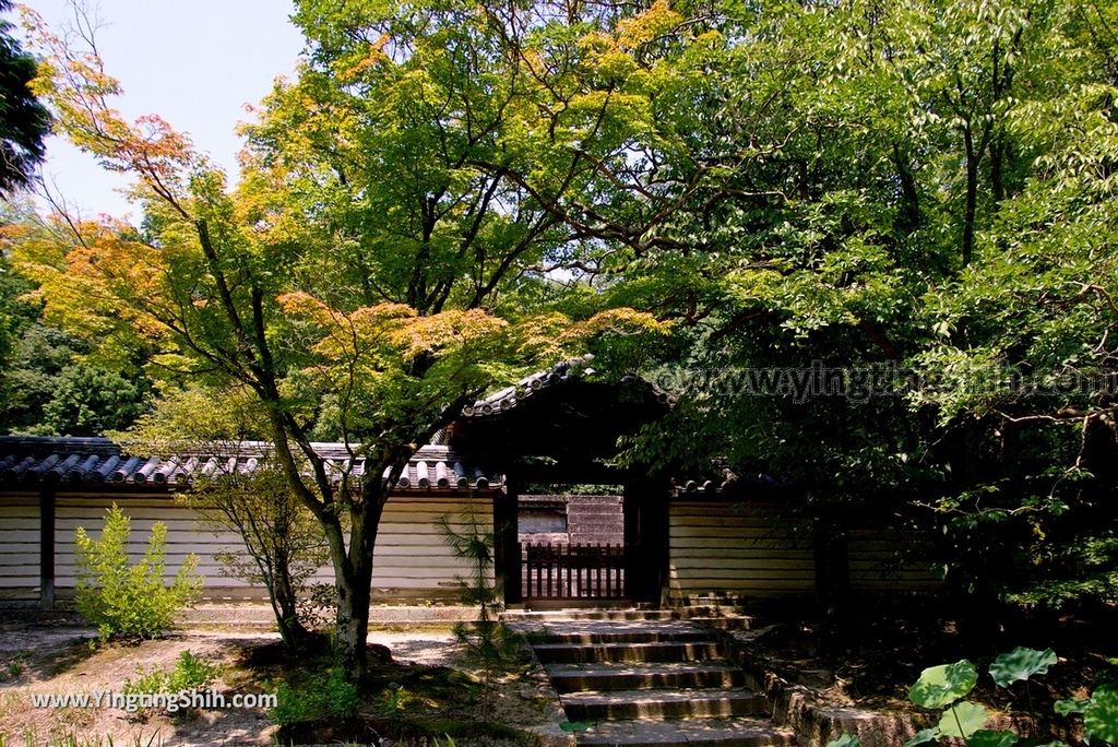 YTS_YTS_20180716_Japan Nara Toshodai-ji日本奈良唐招提寺／世界文化遺產／律宗總本山152_3A5A2671.jpg