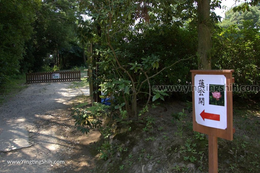 YTS_YTS_20180716_Japan Nara Toshodai-ji日本奈良唐招提寺／世界文化遺產／律宗總本山167_3A5A2752.jpg