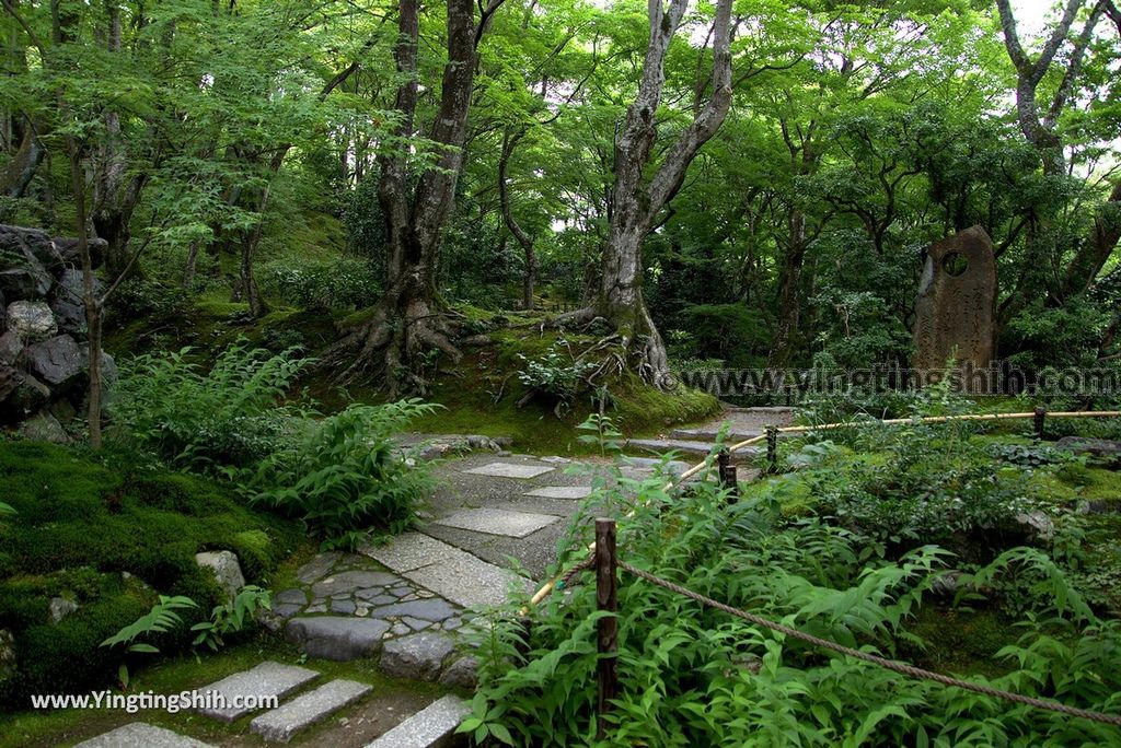 YTS_YTS_20180712_Japan Kyoto Arashiyama Jojakko-ji Temple 日本京都嵐山常寂光寺／紅葉名所／賞楓景點016_3A5A4100.jpg