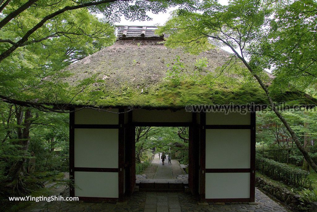 YTS_YTS_20180712_Japan Kyoto Arashiyama Jojakko-ji Temple 日本京都嵐山常寂光寺／紅葉名所／賞楓景點089_3A5A5586.jpg