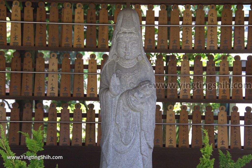 YTS_YTS_20180714_Japan Kyoto Kiyomizu-dera 日本京都清水寺／世界文化遺產／京都最古老寺院／懸空舞台177_3A5A6264.jpg