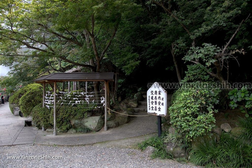 YTS_YTS_20180811_Japan Oita Beppu Jigoku日本大分別府地獄溫泉／天然海地獄／大鬼蓮／足湯086_3A5A3208.jpg