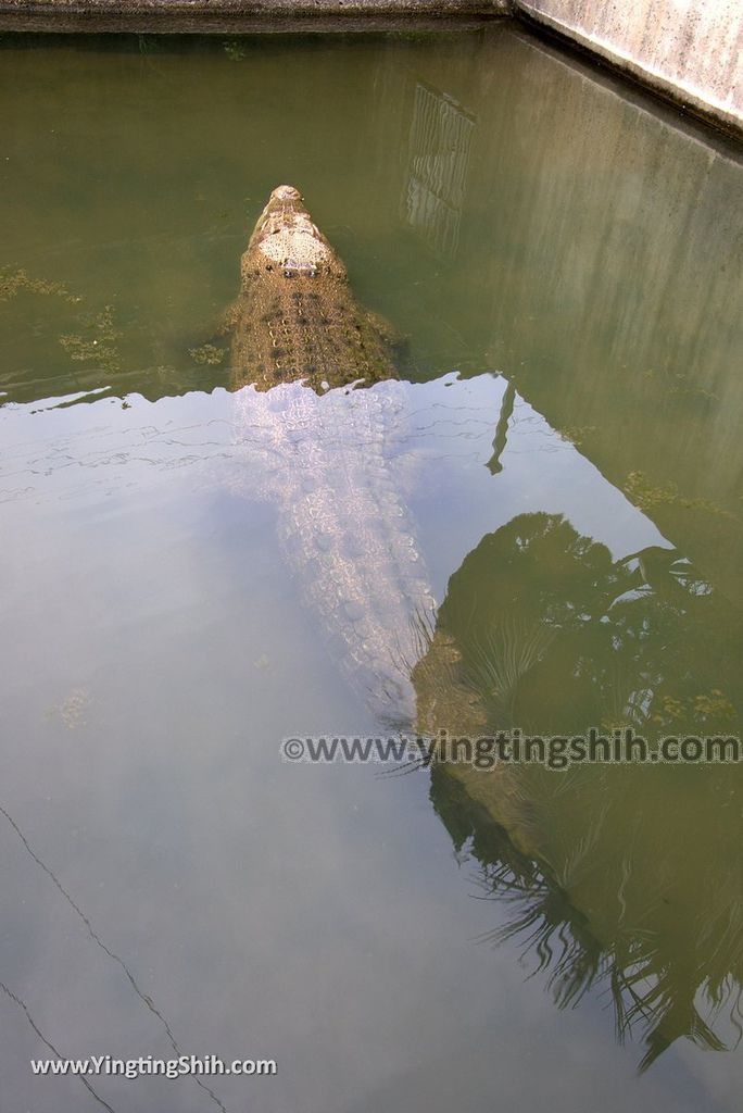 YTS_YTS_20180811_Japan Oita Beppu Jigoku日本大分別府地獄溫泉／鱷魚鬼山地獄023_3A5A5862.jpg