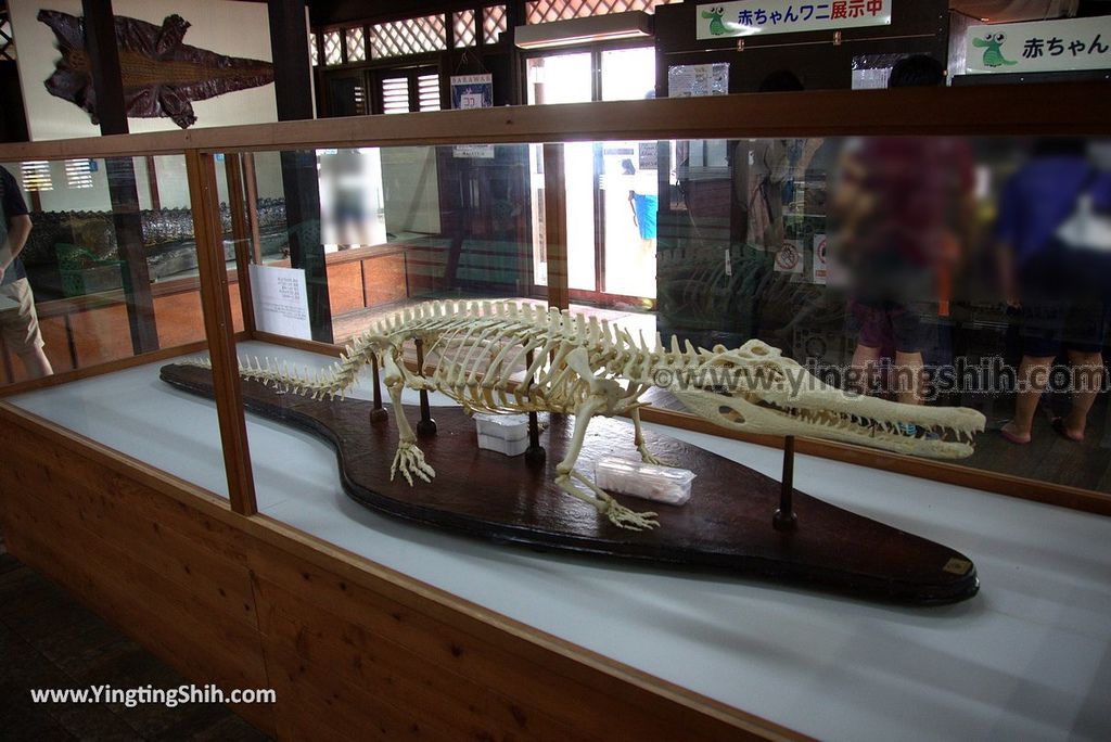 YTS_YTS_20180811_Japan Oita Beppu Jigoku日本大分別府地獄溫泉／鱷魚鬼山地獄026_3A5A5872.jpg