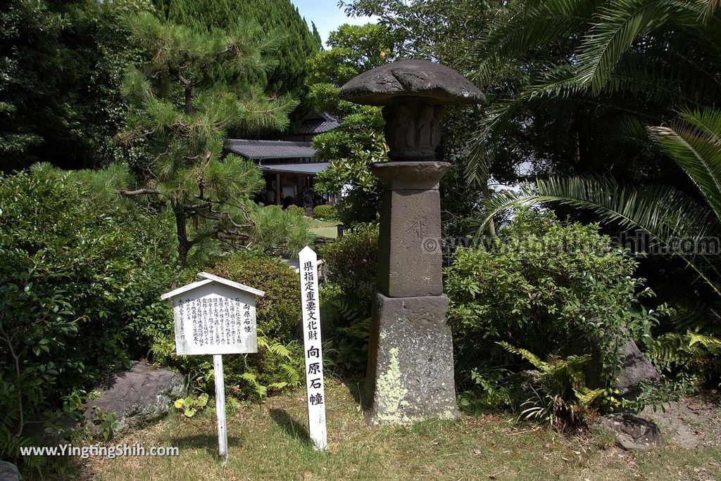 YTS_YTS_20180811_Japan Kyushu Oita Beppu Jigoku日本九州大分別府地獄溫泉／白池地獄008_3A5A6773.jpg