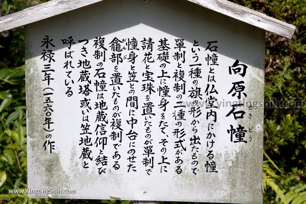 YTS_YTS_20180811_Japan Kyushu Oita Beppu Jigoku日本九州大分別府地獄溫泉／白池地獄010_3A5A6791.jpg