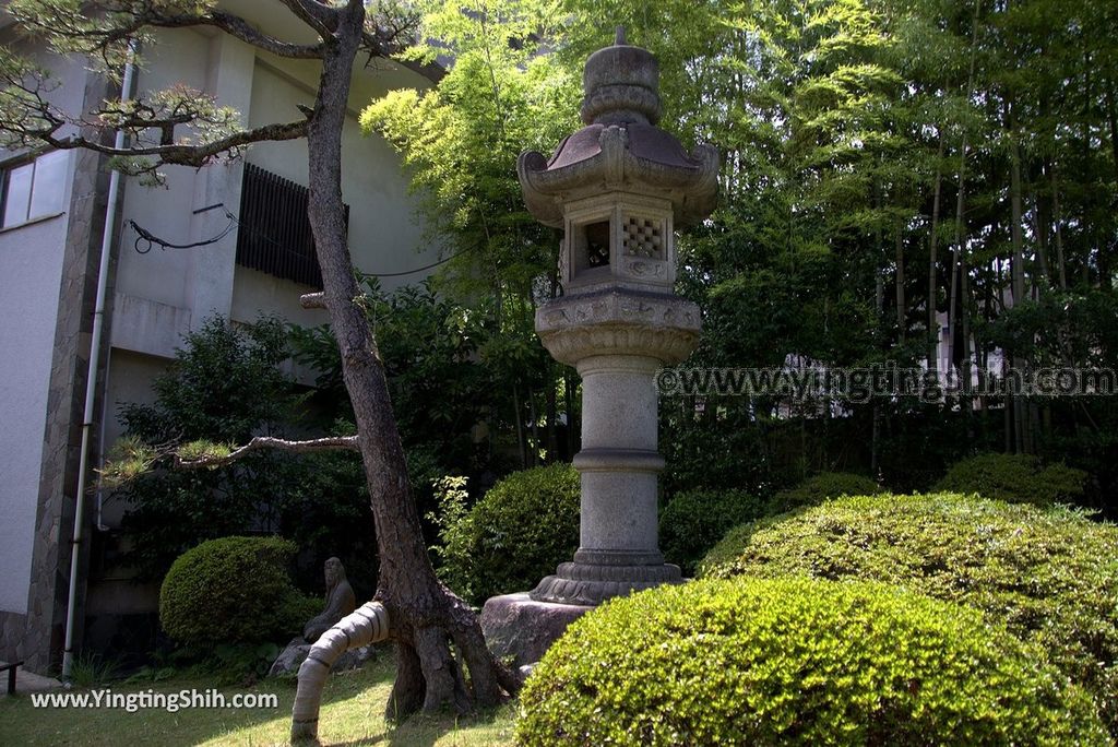 YTS_YTS_20180811_Japan Kyushu Oita Beppu Jigoku日本九州大分別府地獄溫泉／白池地獄013_3A5A6796.jpg