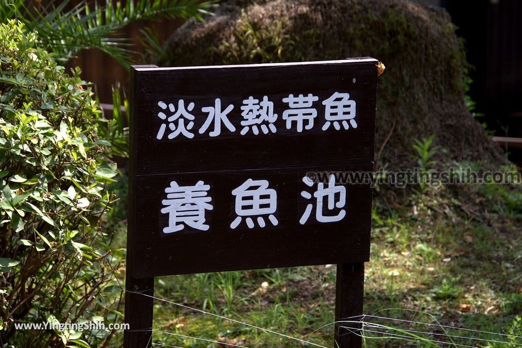 YTS_YTS_20180811_Japan Kyushu Oita Beppu Jigoku日本九州大分別府地獄溫泉／白池地獄015_3A5A6808.jpg