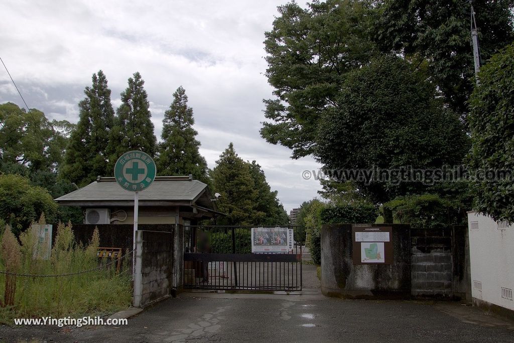 YTS_YTS_20180815_Japan Kyushu Kumamoto Suizenji Jojuen Garden日本九州熊本水前寺成趣園／名水百選／出水神社003_3A5A0553.jpg