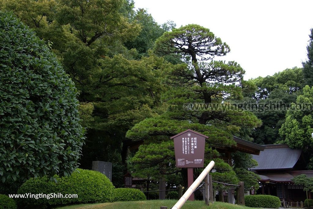 YTS_YTS_20180815_Japan Kyushu Kumamoto Suizenji Jojuen Garden日本九州熊本水前寺成趣園／名水百選／出水神社022_3A5A1000.jpg