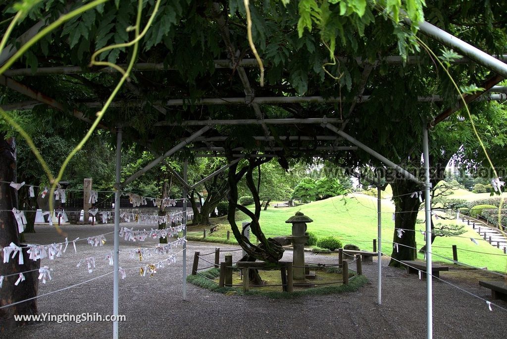 YTS_YTS_20180815_Japan Kyushu Kumamoto Suizenji Jojuen Garden日本九州熊本水前寺成趣園／名水百選／出水神社028_3A5A0971.jpg