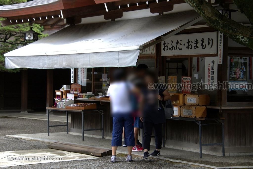 YTS_YTS_20180815_Japan Kyushu Kumamoto Suizenji Jojuen Garden日本九州熊本水前寺成趣園／名水百選／出水神社039_3A5A0819.jpg