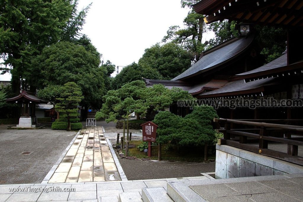 YTS_YTS_20180815_Japan Kyushu Kumamoto Suizenji Jojuen Garden日本九州熊本水前寺成趣園／名水百選／出水神社040_3A5A0833.jpg