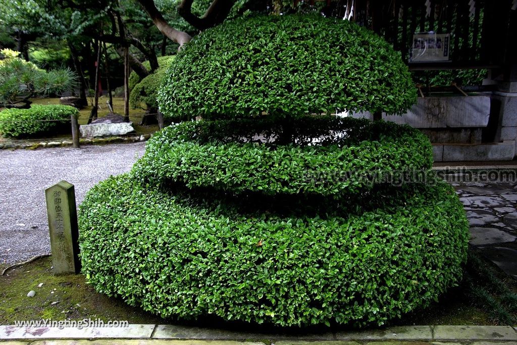 YTS_YTS_20180815_Japan Kyushu Kumamoto Suizenji Jojuen Garden日本九州熊本水前寺成趣園／名水百選／出水神社047_3A5A0850.jpg