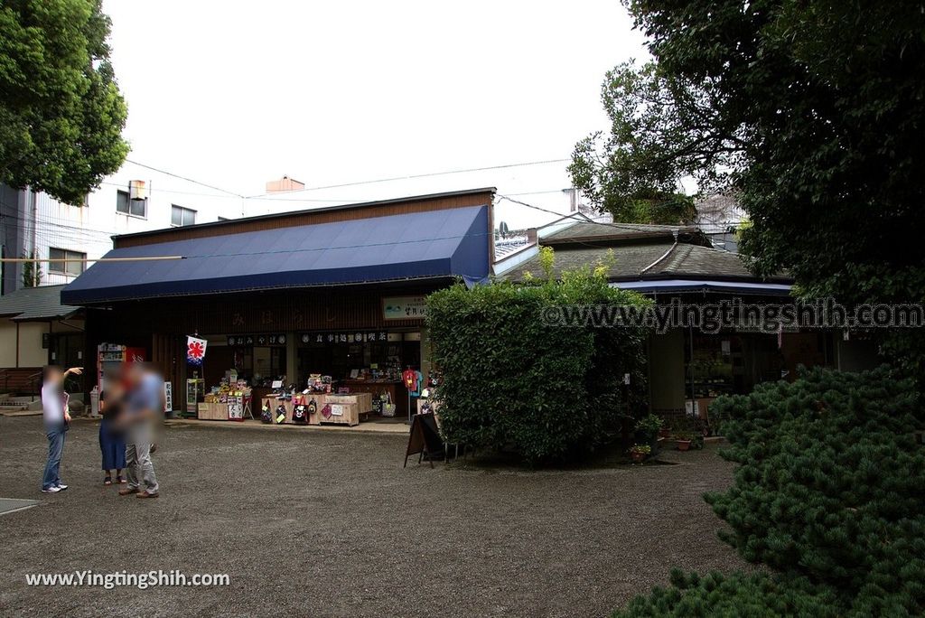 YTS_YTS_20180815_Japan Kyushu Kumamoto Suizenji Jojuen Garden日本九州熊本水前寺成趣園／名水百選／出水神社070_3A5A1709.jpg