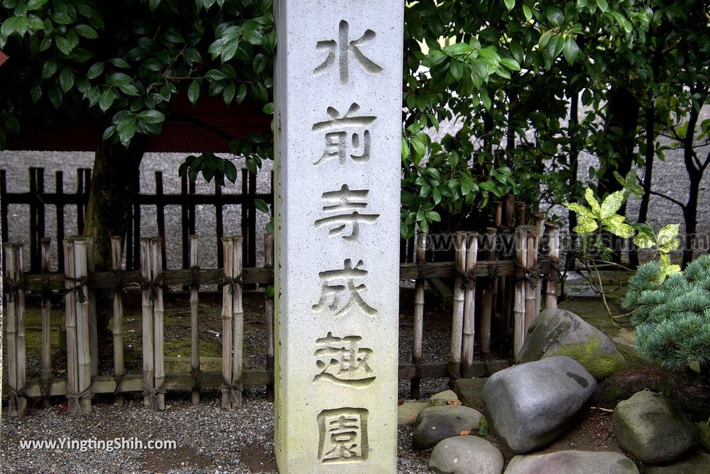 YTS_YTS_20180815_Japan Kyushu Kumamoto Suizenji Jojuen Garden日本九州熊本水前寺成趣園／名水百選／出水神社077_3A5A1727.jpg