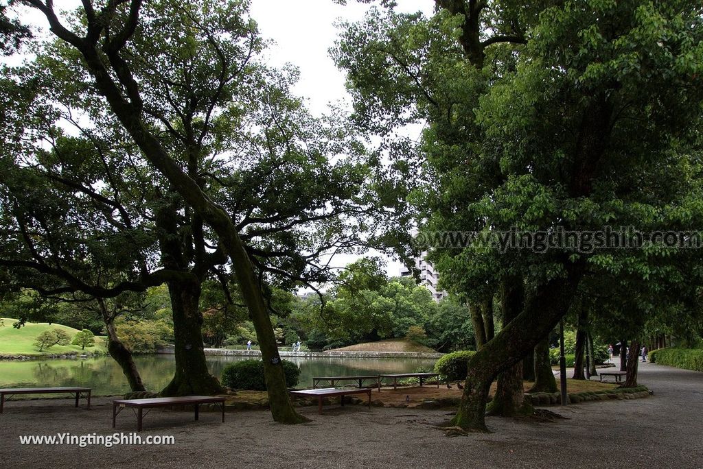 YTS_YTS_20180815_Japan Kyushu Kumamoto Suizenji Jojuen Garden日本九州熊本水前寺成趣園／名水百選／出水神社102_3A5A2021.jpg