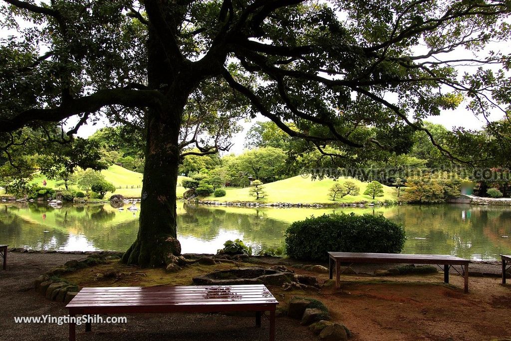 YTS_YTS_20180815_Japan Kyushu Kumamoto Suizenji Jojuen Garden日本九州熊本水前寺成趣園／名水百選／出水神社103_3A5A2035.jpg