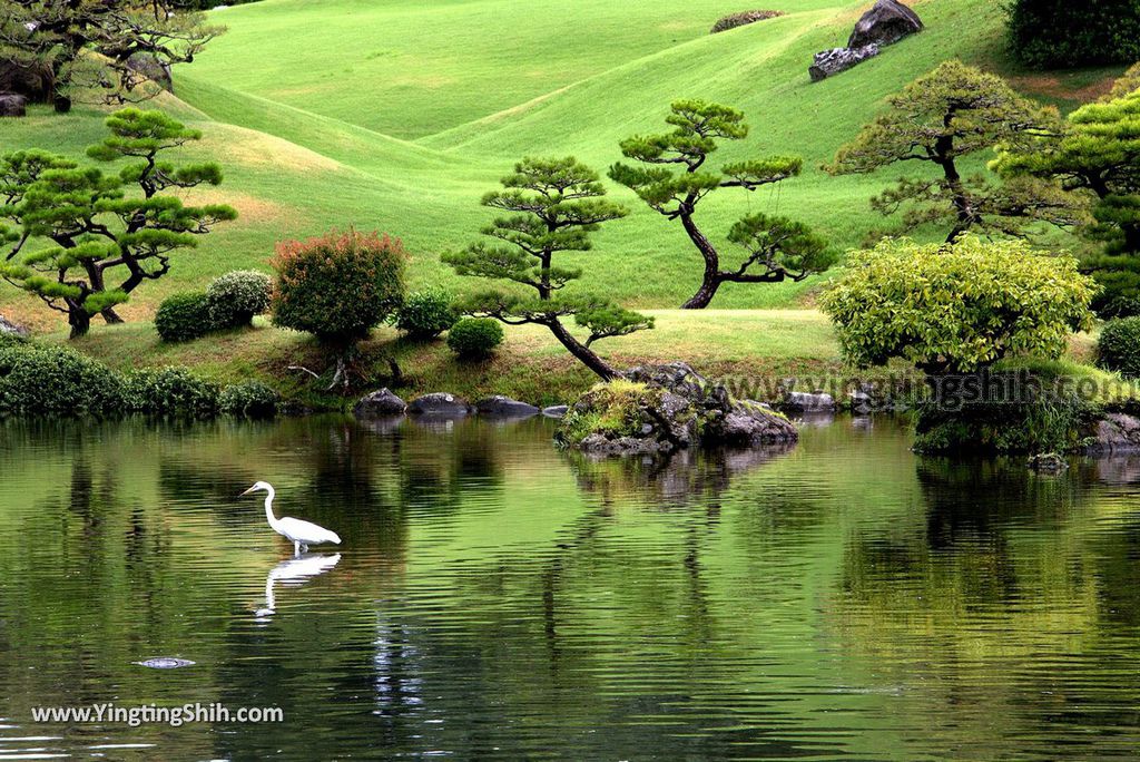 YTS_YTS_20180815_Japan Kyushu Kumamoto Suizenji Jojuen Garden日本九州熊本水前寺成趣園／名水百選／出水神社107_3A5A2275.jpg