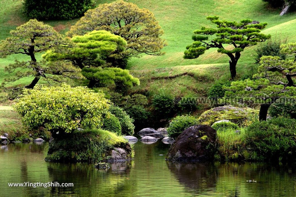 YTS_YTS_20180815_Japan Kyushu Kumamoto Suizenji Jojuen Garden日本九州熊本水前寺成趣園／名水百選／出水神社108_3A5A2465.jpg